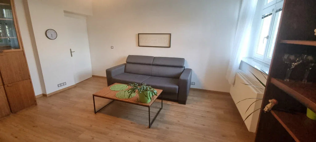 Modern living room with gray sofa, wooden coffee table, green plant, and bright window